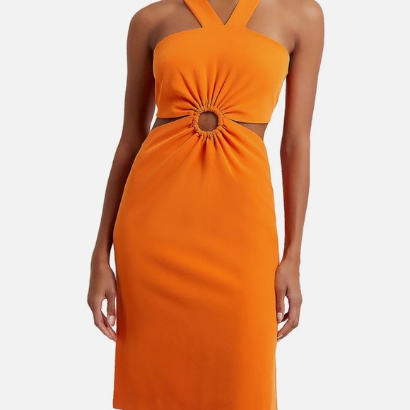 French Connection Dresses & Skirts - Echo O-Ring Cutout Sheath Dress